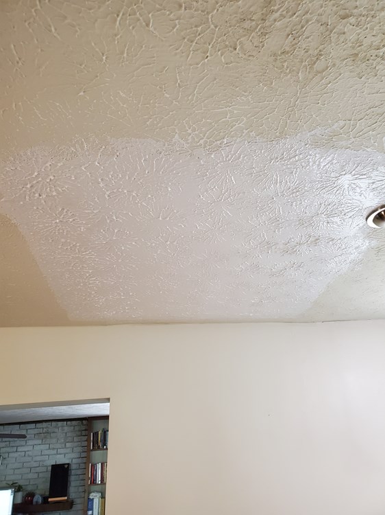 How To Spot Hidden Water Damage Before It Becomes a Bigger Issue